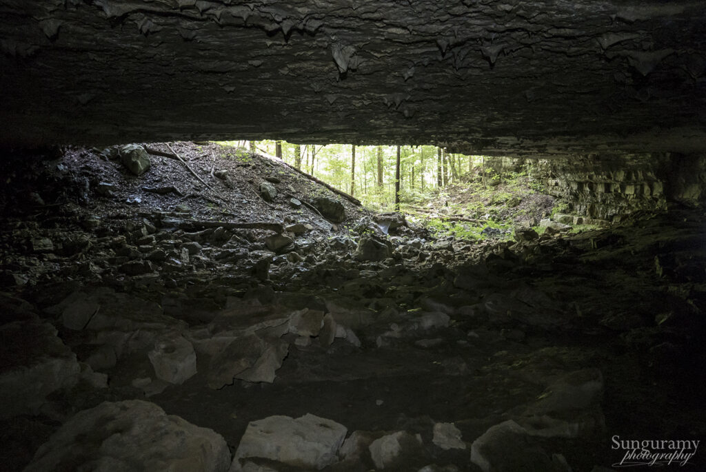 Looking out the entrance of McFarland Cave in Jackson County, Alabama