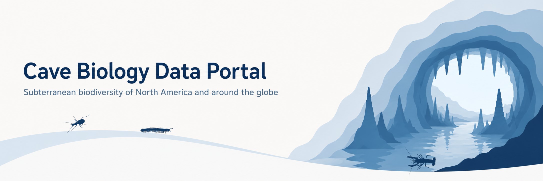 Cave Biology Data Portal. Subterranean biodiversity of North America and around
                the globe. A cave beetle and cave millipede on the ground and a cave crayfish in
                the water at a cave entrance.